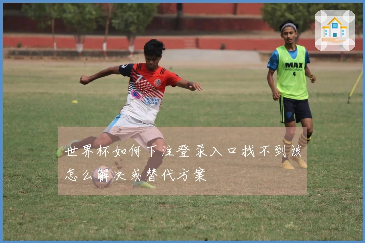 世界杯如何下注登录入口找不到该怎么解决或替代方案