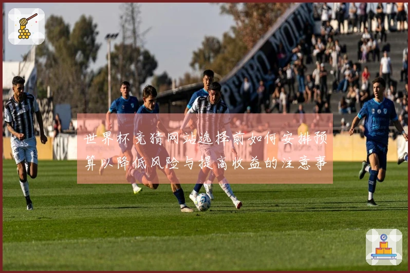 世界杯竞猜网站选择前如何安排预算以降低风险与提高收益的注意事项