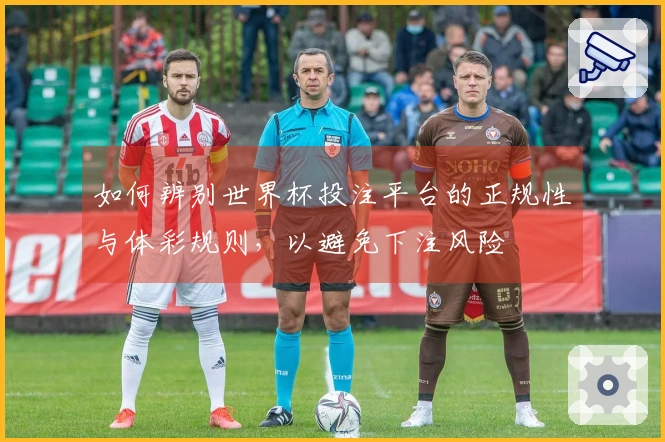 如何辨别世界杯投注平台的正规性与体彩规则，以避免下注风险
