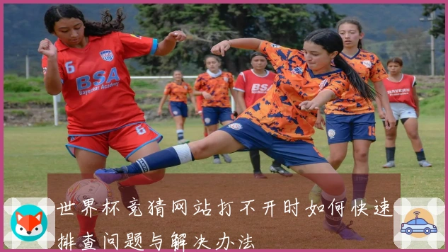 世界杯竞猜网站打不开时如何快速排查问题与解决办法
