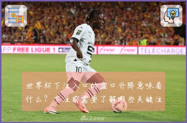 世界杯下注入口的盘口升降意味着什么？下注前需要了解哪些关键注意事项？