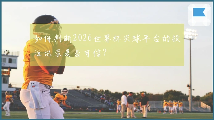 如何判断2026世界杯买球平台的投注记录是否可信？