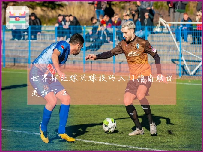 世界杯让球买球技巧入门指南助你更好下注