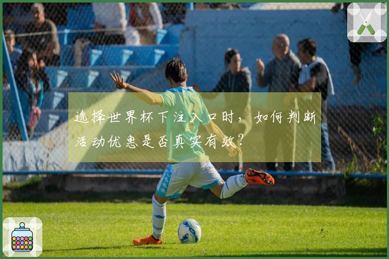 选择世界杯下注入口时，如何判断活动优惠是否真实有效？