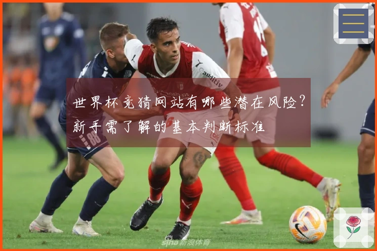 世界杯竞猜网站有哪些潜在风险？新手需了解的基本判断标准