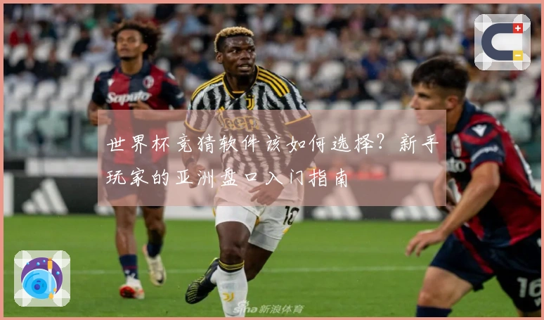 世界杯竞猜软件该如何选择？新手玩家的亚洲盘口入门指南