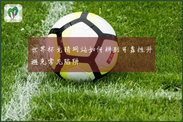 世界杯竞猜网站如何辨别可靠性并避免常见陷阱