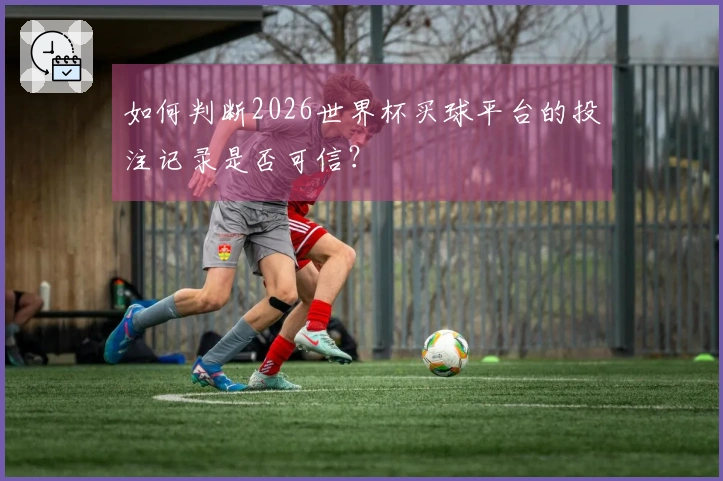 如何判断2026世界杯买球平台的投注记录是否可信？