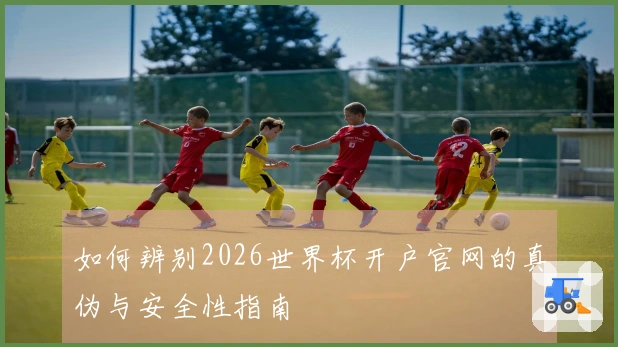 如何辨别2026世界杯开户官网的真伪与安全性指南