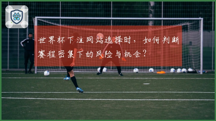 世界杯下注网站选择时，如何判断赛程密集下的风险与机会？