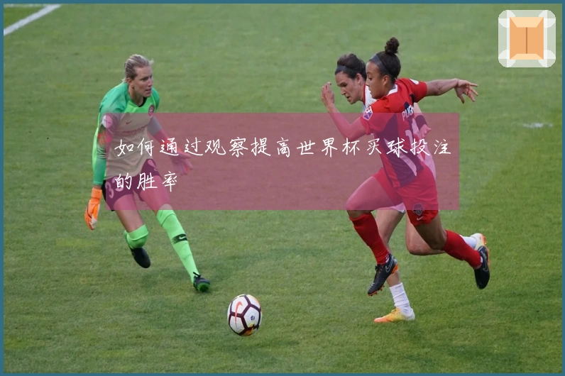 如何通过观察提高世界杯买球投注的胜率