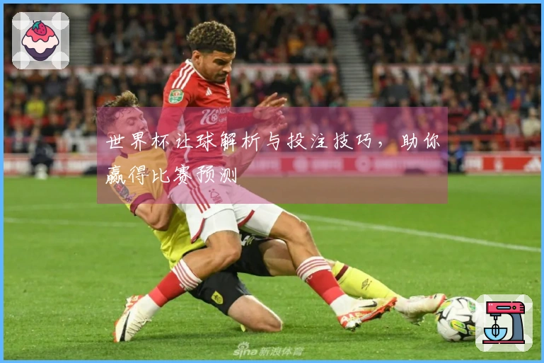 世界杯让球解析与投注技巧，助你赢得比赛预测