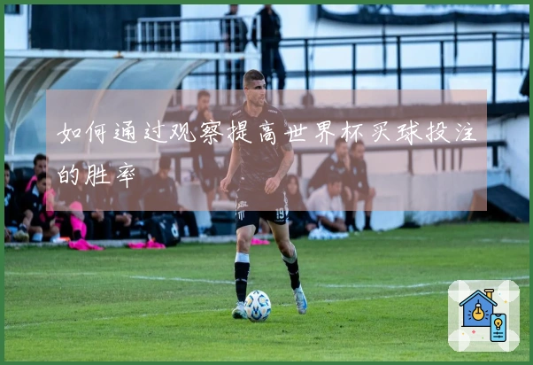 如何通过观察提高世界杯买球投注的胜率