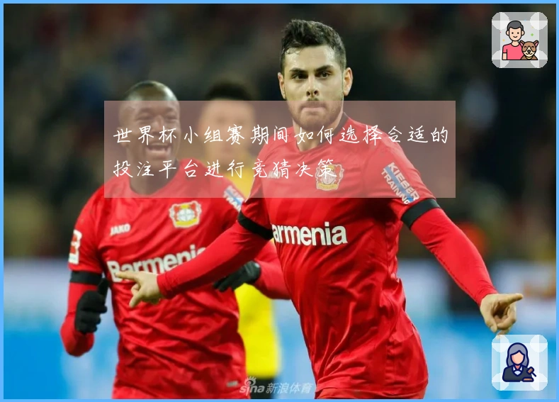 世界杯小组赛期间如何选择合适的投注平台进行竞猜决策