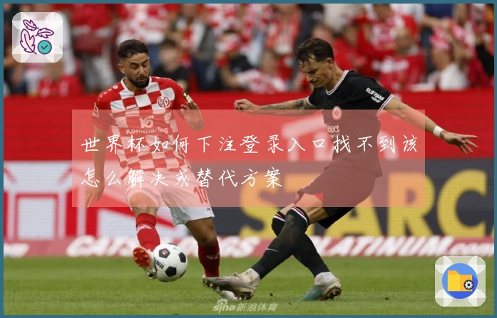 世界杯如何下注登录入口找不到该怎么解决或替代方案