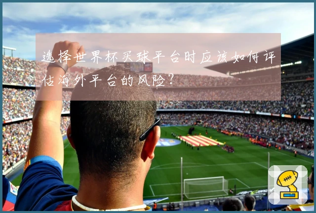 选择世界杯买球平台时应该如何评估海外平台的风险？