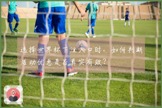 选择世界杯下注入口时，如何判断活动优惠是否真实有效？