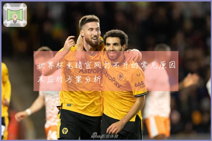世界杯竞猜官网打不开的常见原因及应对方案分析