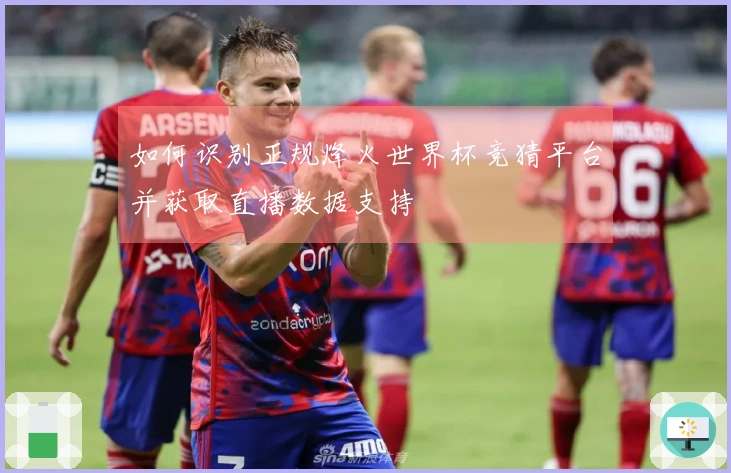如何识别正规烽火世界杯竞猜平台并获取直播数据支持