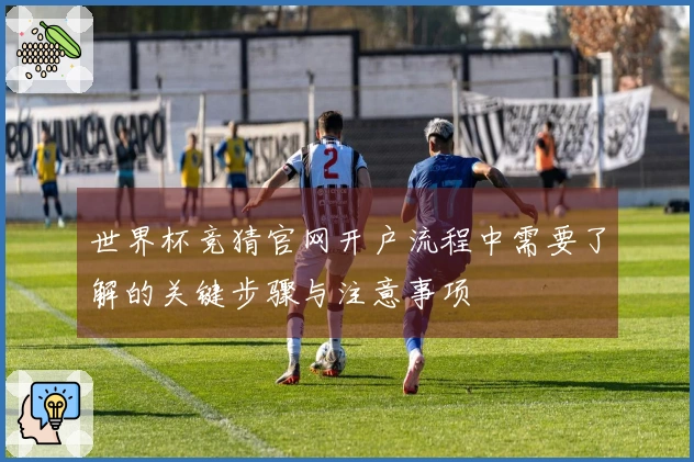 世界杯竞猜官网开户流程中需要了解的关键步骤与注意事项