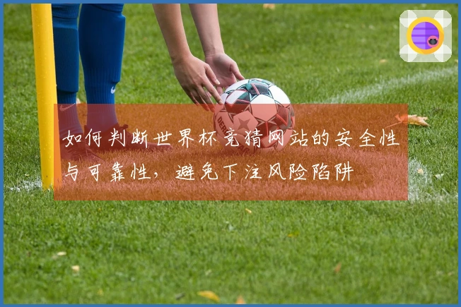 如何判断世界杯竞猜网站的安全性与可靠性，避免下注风险陷阱