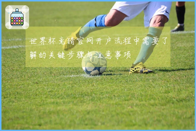 世界杯竞猜官网开户流程中需要了解的关键步骤与注意事项