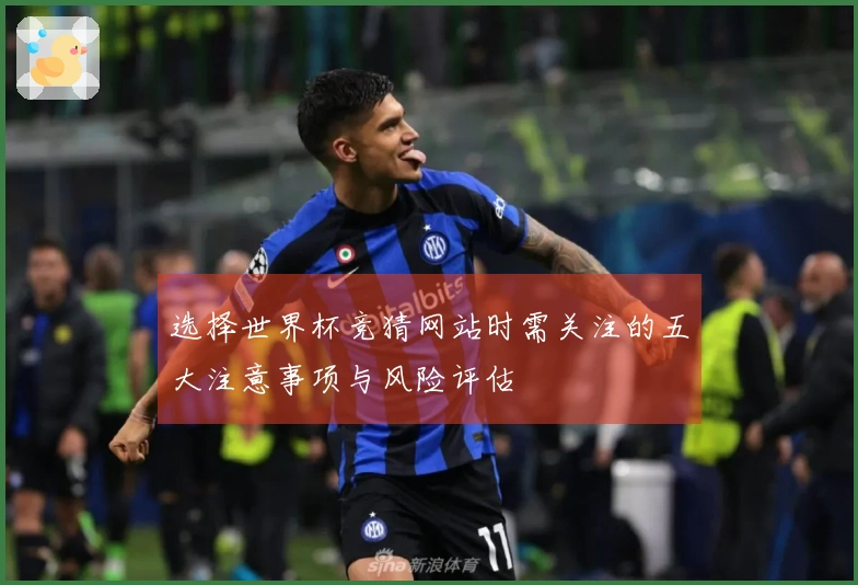 选择世界杯竞猜网站时需关注的五大注意事项与风险评估