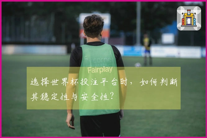 选择世界杯投注平台时，如何判断其稳定性与安全性？
