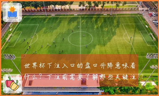 世界杯下注入口的盘口升降意味着什么？下注前需要了解哪些关键注意事项？